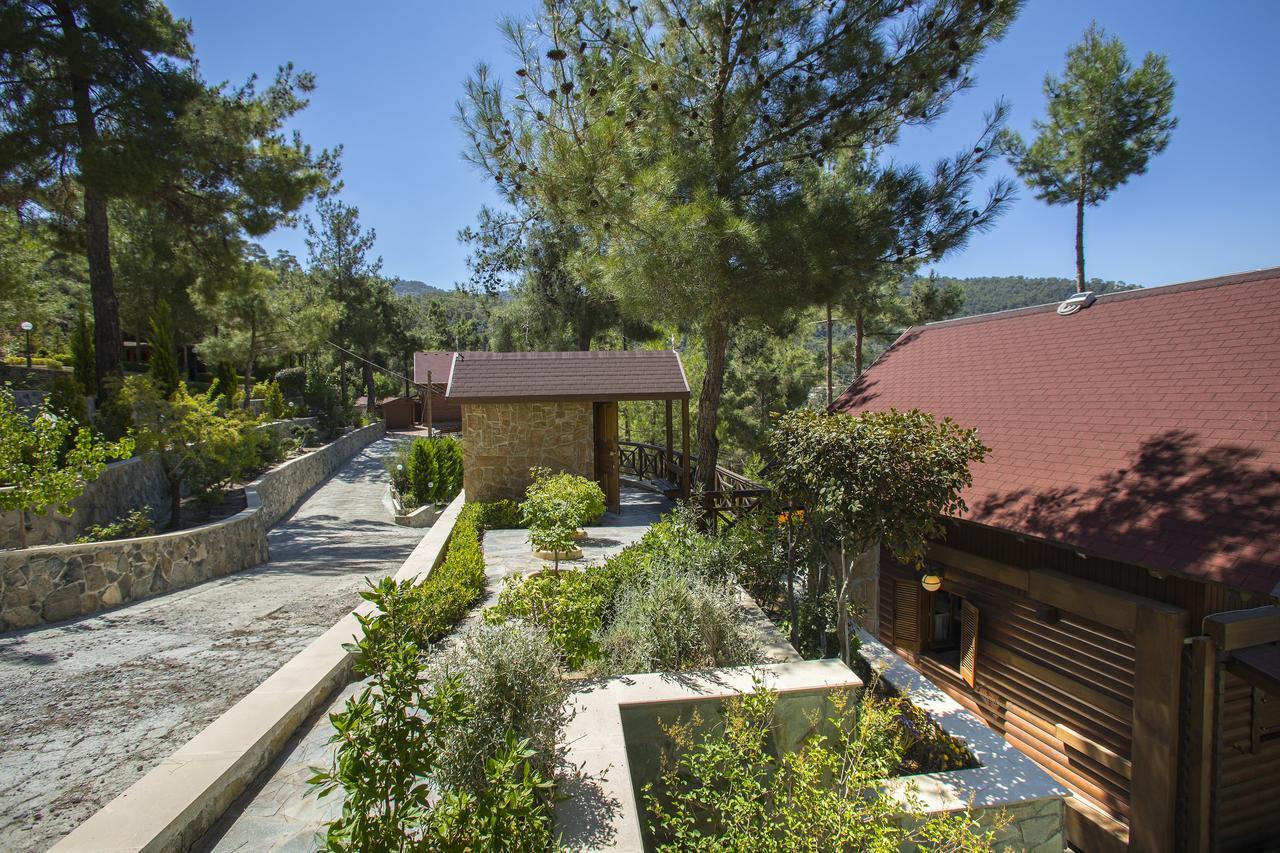 Ricky Chalet Near Troodos Spilia Exterior foto